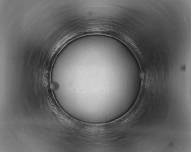 X0000116310786200912141357