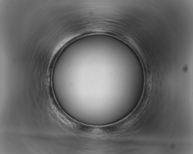 X0000116310787200912141357