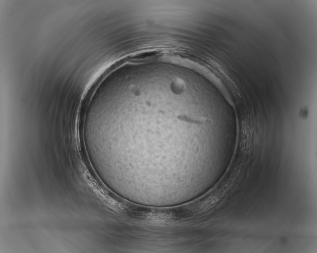 X0000116310788200912141357