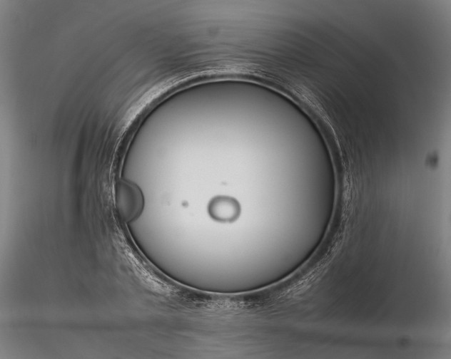 X0000116310789200912141357