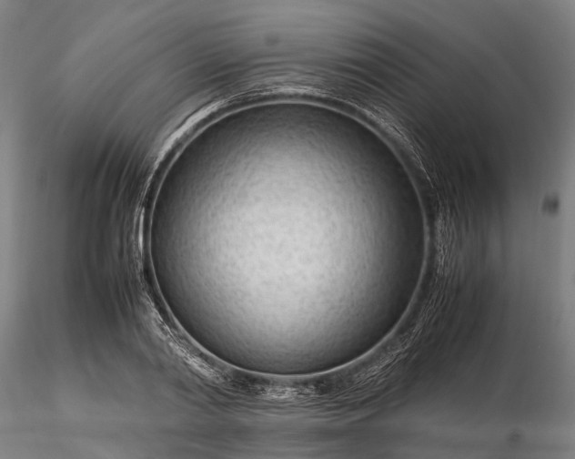 X0000116310790200912141357