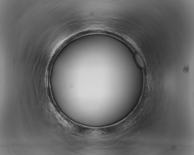 X0000116310791200912141357