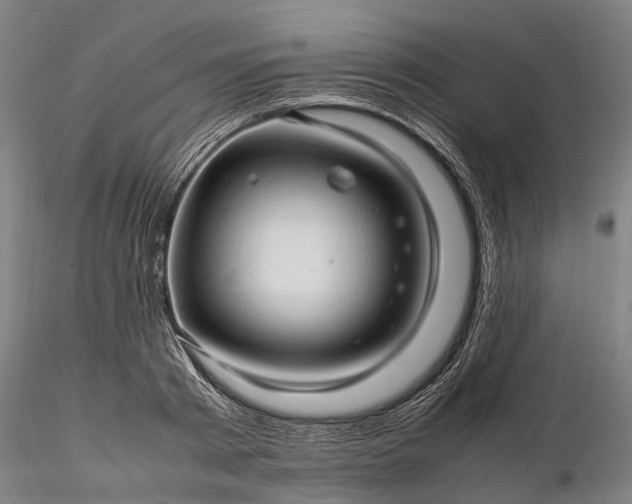 X0000116310793200912141357