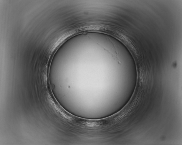 X0000116310794200912141357