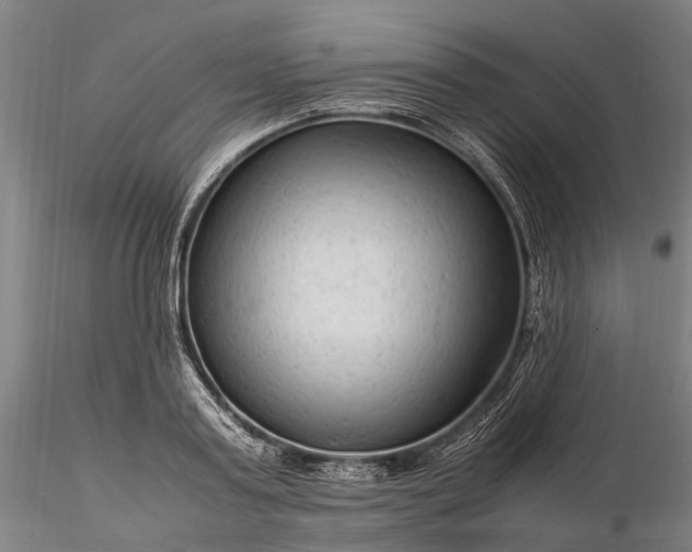 X0000116310795200912141357