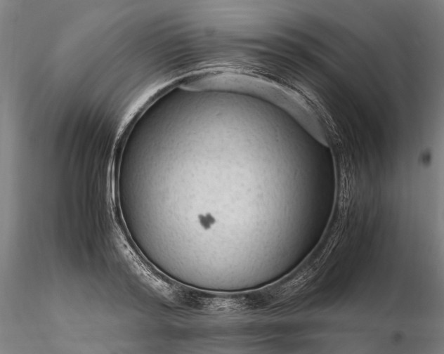 X0000116310796200912141357