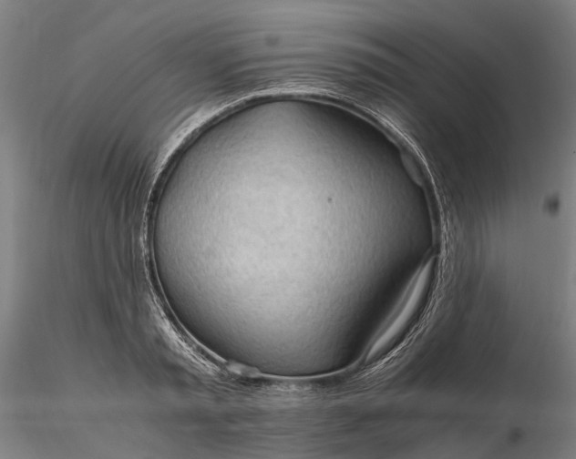 X0000116310797200912141357