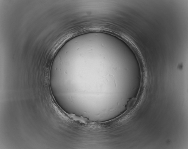 X0000116310801200912141357