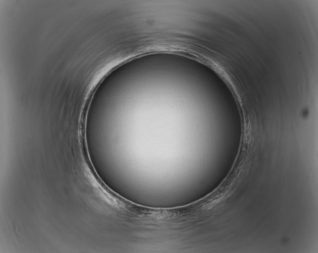 X0000116310803200912141357