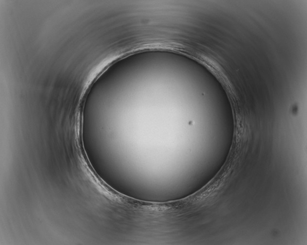 X0000116310804200912141357