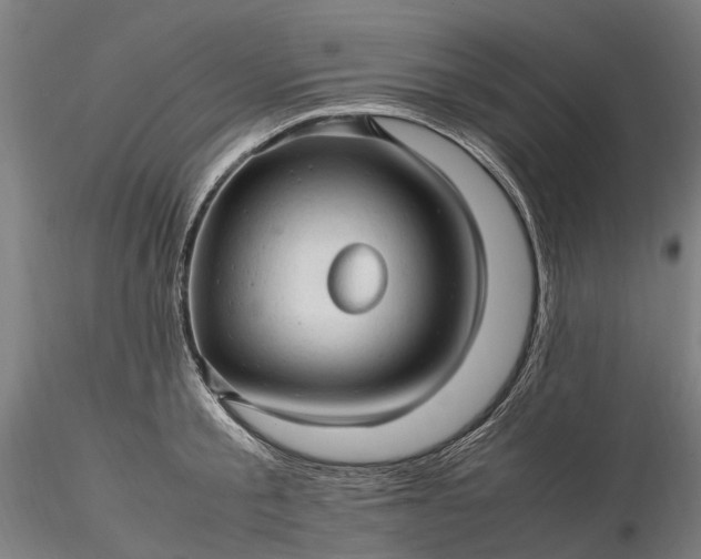 X0000116310805200912141357