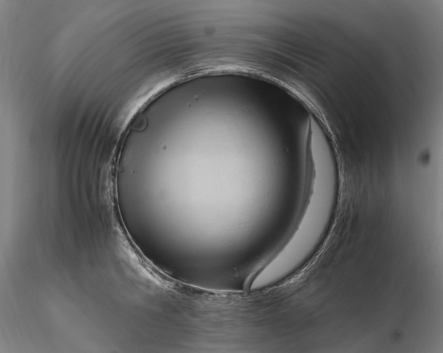 X0000116310806200912141357