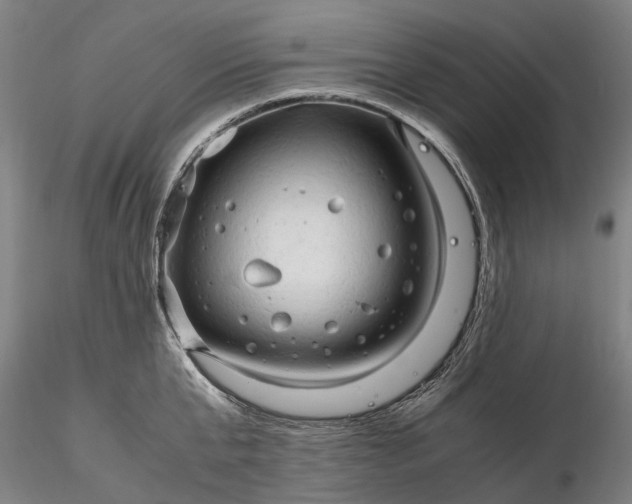 X0000116310807200912141357