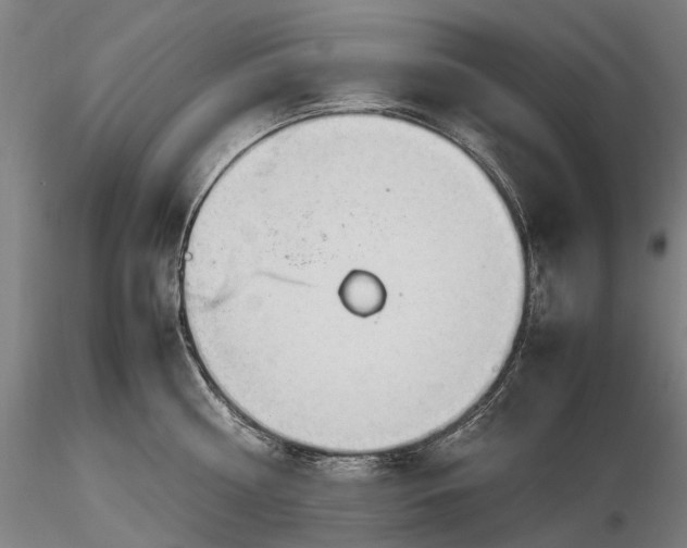 X0000116310810200912141357