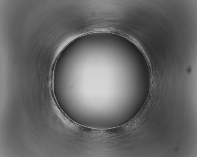 X0000116310811200912141357