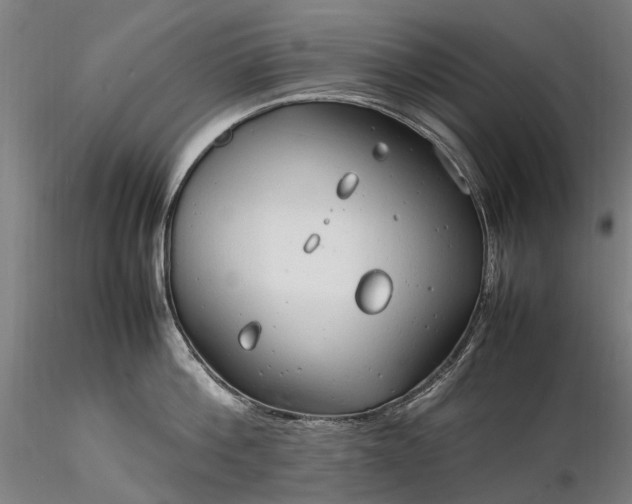 X0000116310812200912141357