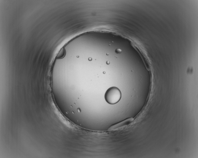 X0000116310816200912141357