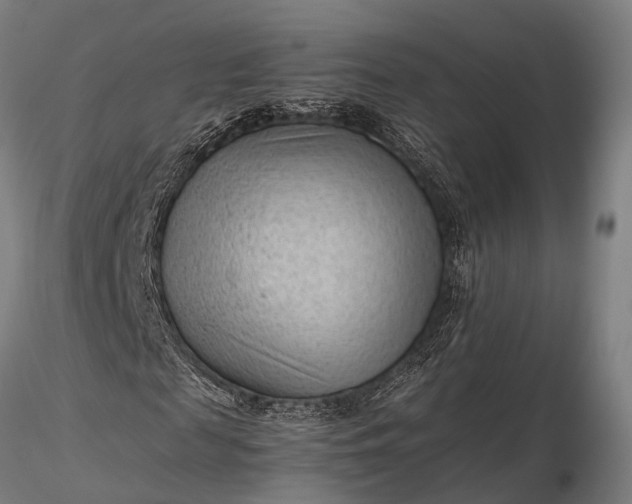 X0000116310817200912141356