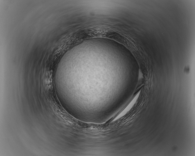 X0000116310818200912141356