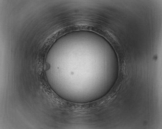 X0000116310821200912141356