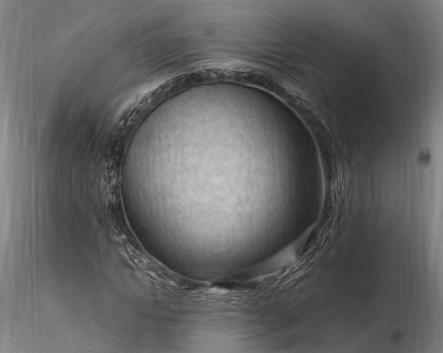 X0000116310822200912141356