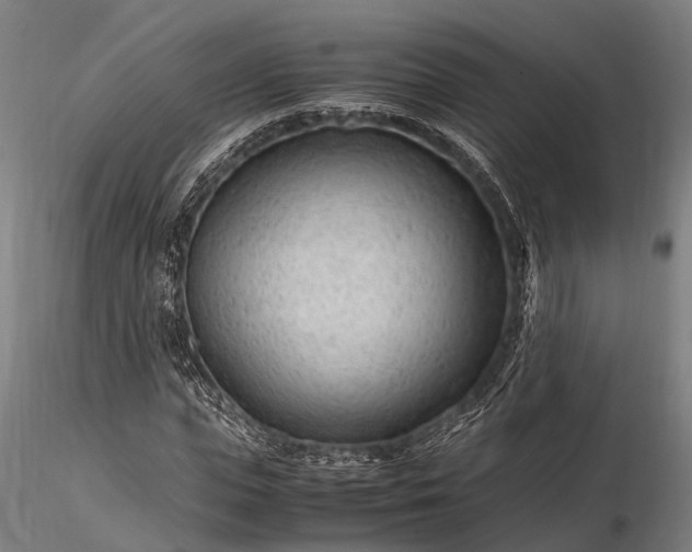 X0000116310823200912141356