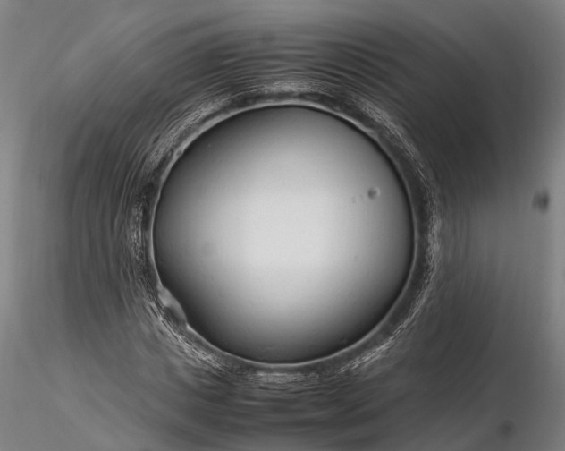 X0000116310825200912141356