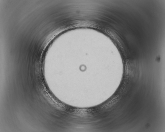 X0000116310828200912141356