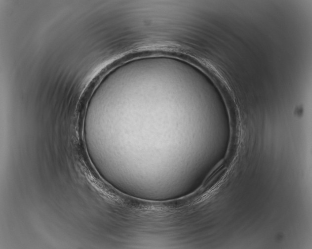 X0000116310830200912141356