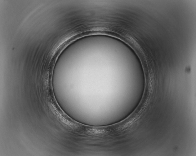 X0000116310831200912141356