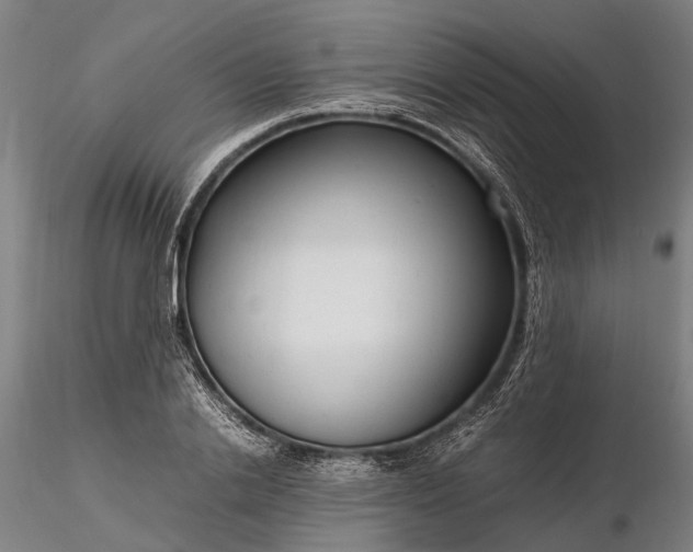 X0000116310838200912141356