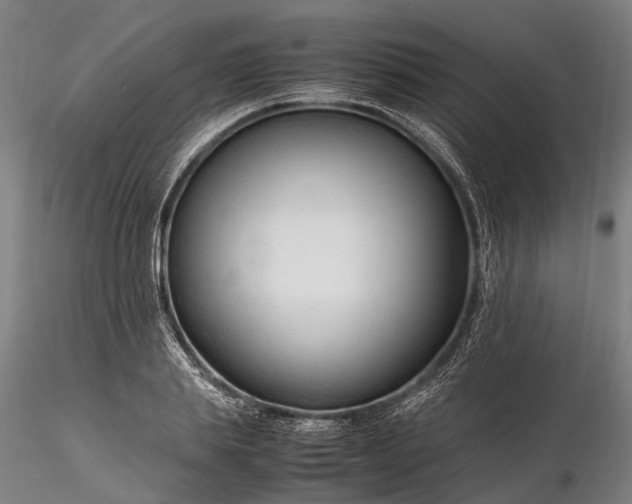 X0000116310839200912141357