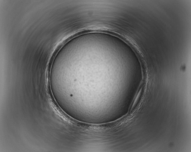 X0000116310840200912141357