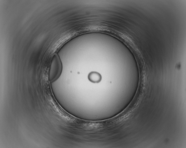 X0000116310841200912141357