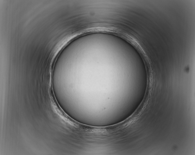 X0000116310844200912141357