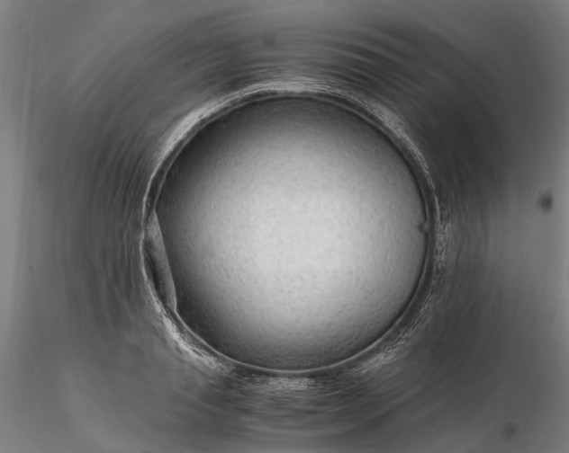 X0000116310845200912141357