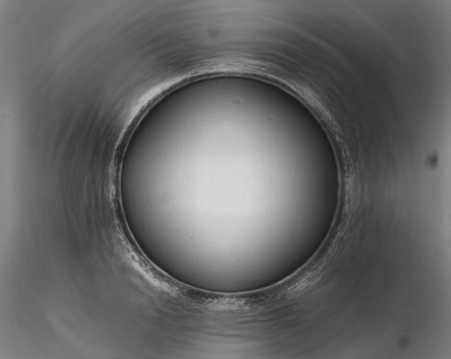 X0000116310846200912141357