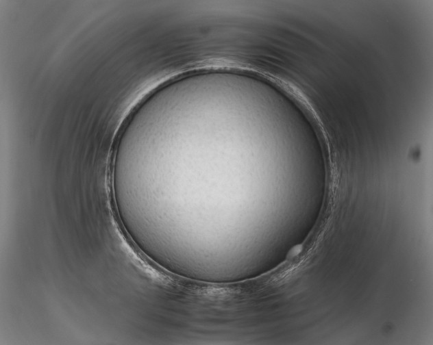 X0000116310847200912141357