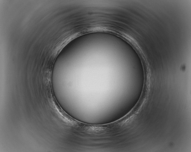 X0000116310849200912141357