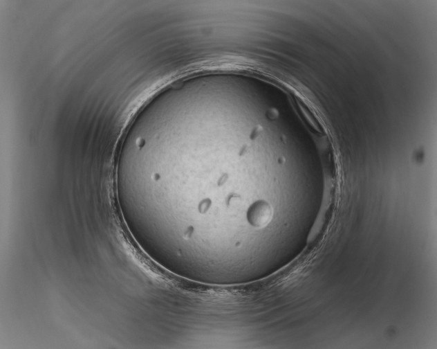 X0000116310850200912141357