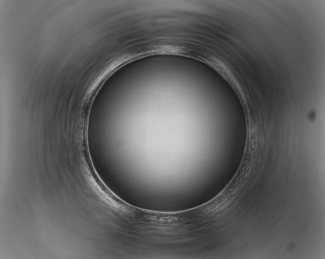 X0000116310851200912141357