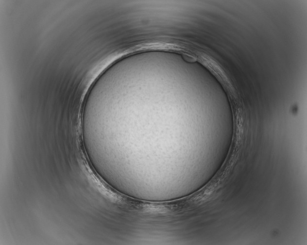 X0000116310852200912141357