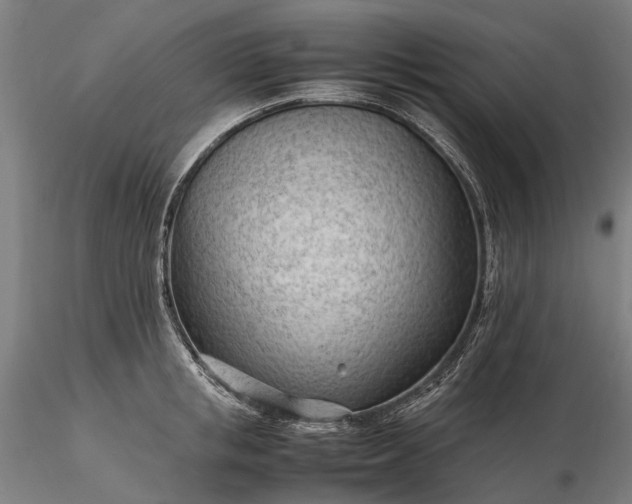 X0000116310853200912141357