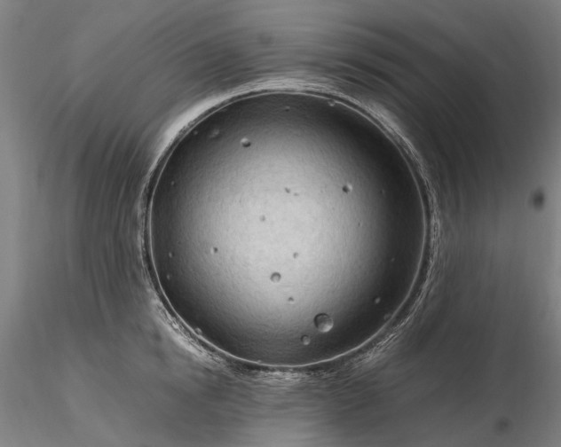 X0000116310854200912141357