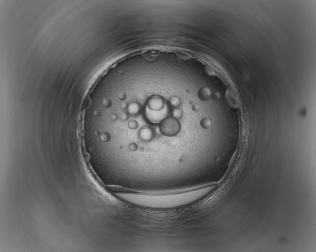 X0000116310855200912141357