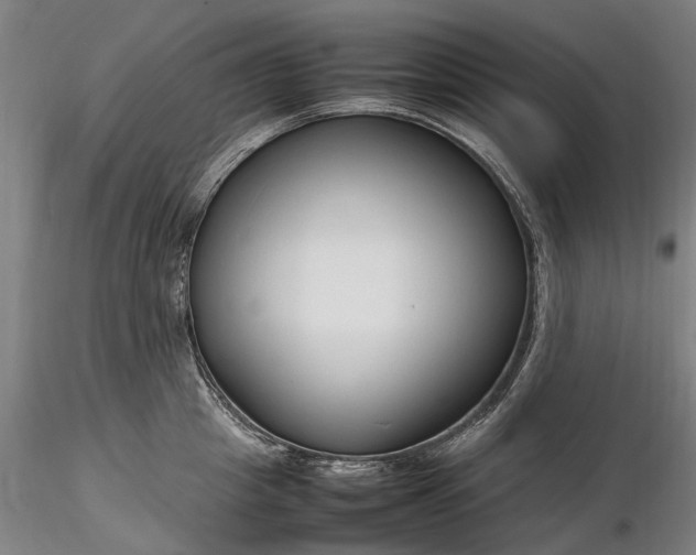 X0000116310857200912141357