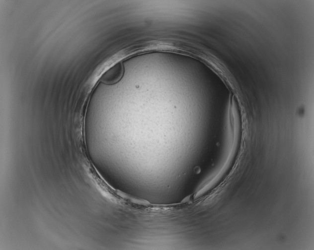 X0000116310858200912141357