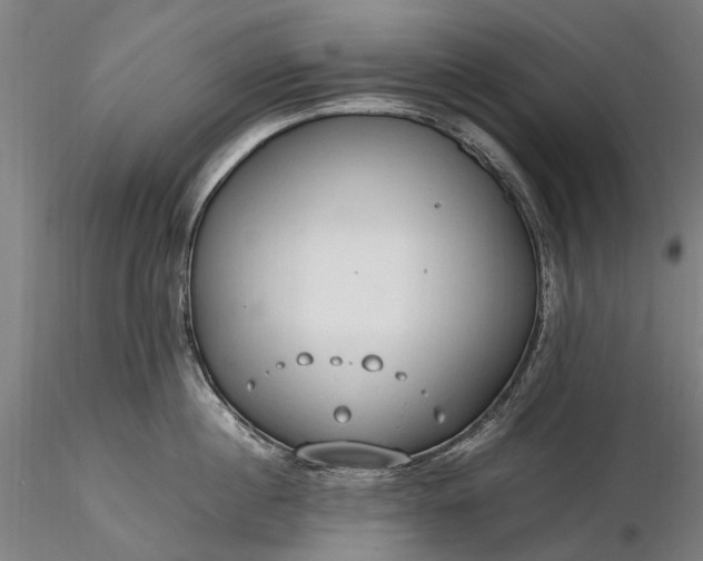 X0000116310860200912141357