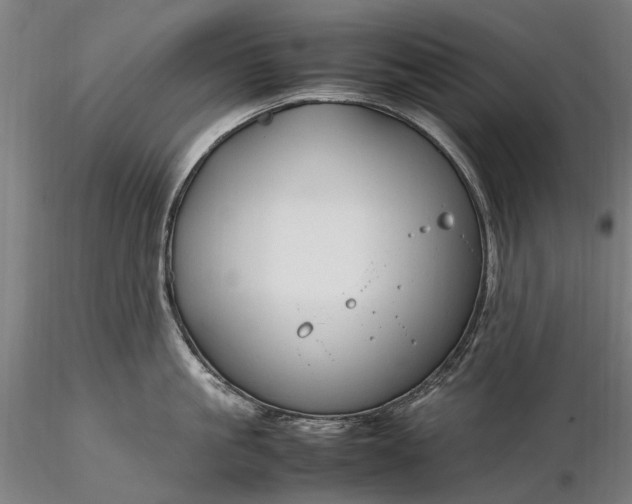 X0000116310861200912141357