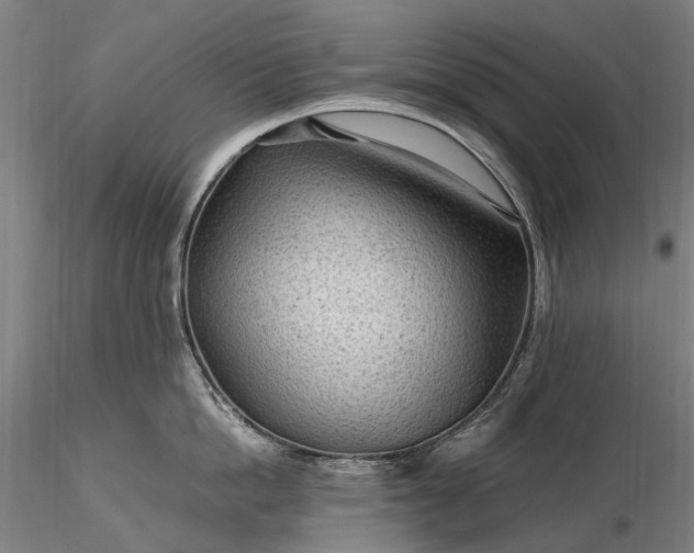 X0000116310862200912141357